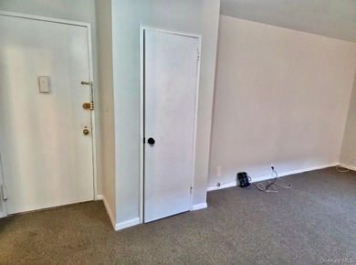 Owner Very Anxious To Discuss with you this Updated Studio - photo 8