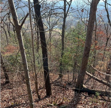 Lake Chatuge Lot For Sale in Hayesville North Carolina