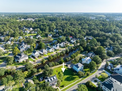 Looking to build your Lowcountry Dream? This homesite in - photo 14