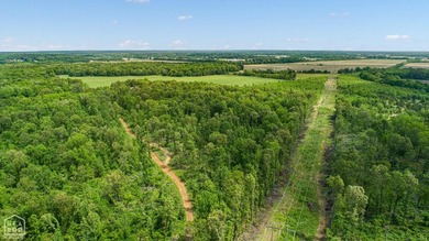 80.24 acres +/- on paved county road 114 just outside of the - photo 1