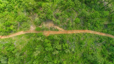 80.24 acres +/- on paved county road 114 just outside of the - photo 3