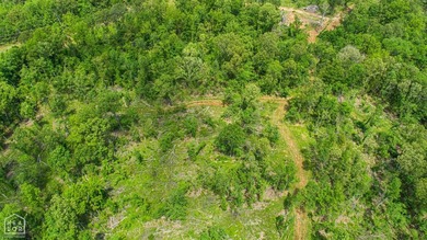80.24 acres +/- on paved county road 114 just outside of the - photo 6