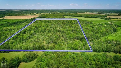 80.24 acres +/- on paved county road 114 just outside of the - photo 10