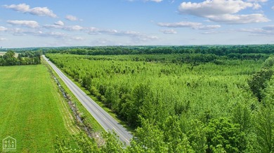 67.78 acres located on paved county road 114 just outside of the - photo 1