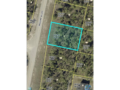Lehigh Acres Area Lot For Sale in Lehigh Acres Florida