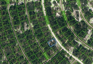Lake Grassy Lot For Sale in Lake Placid Florida