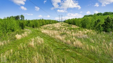 67.78 acres located on paved county road 114 just outside of the - photo 7