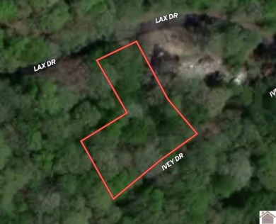 Kentucky Lake Lot For Sale in New Concord Kentucky