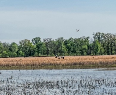 1,962 Acres on the Black River | A Once-in-a-Generation Arkansas - photo 2