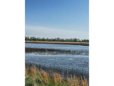 1,962 Acres on the Black River | A Once-in-a-Generation Arkansas - photo 4