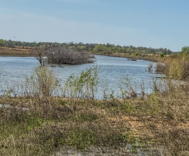 1,962 Acres on the Black River | A Once-in-a-Generation Arkansas - photo 5