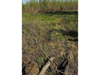 1,962 Acres on the Black River | A Once-in-a-Generation Arkansas - photo 7