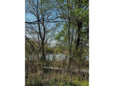 1,962 Acres on the Black River | A Once-in-a-Generation Arkansas - photo 9