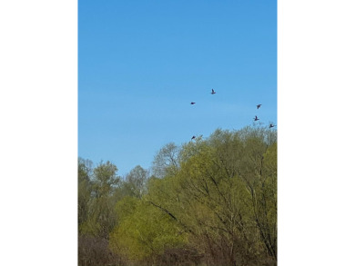 1,962 Acres on the Black River | A Once-in-a-Generation Arkansas - photo 10
