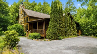 WOW FACTOR! BREATHTAKING YEAR-ROUND MOUNTAIN VIEWS, STRONG - photo 34