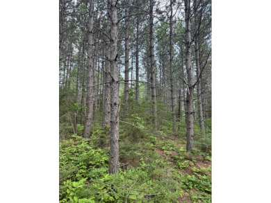 Lake Lot For Sale in Schroeder, Minnesota