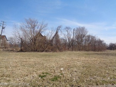 Detroit River Lot For Sale in Detroit Michigan