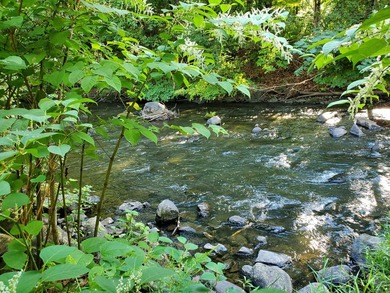 SIGNIFICANT PRICE REDUCTION! The entire western border of this - photo 9