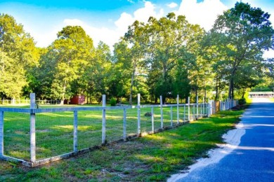 Lake Lot For Sale in Eutawville, South Carolina