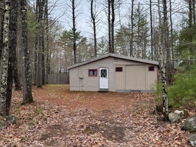 Trickey Pond Home For Sale in Naples Maine