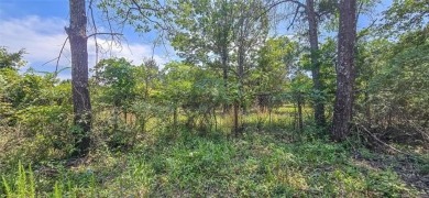 Lake Lot For Sale in Checotah, Oklahoma