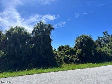 Build your Florida dream home on this ideally located vacant lot - photo 3
