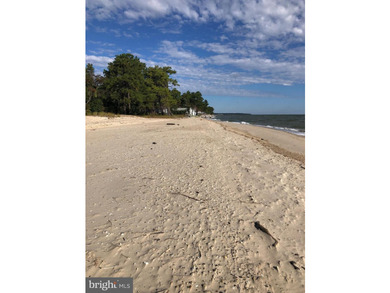 Beautiful waterfront property on the Chesapeake Bay with 250FT - photo 3