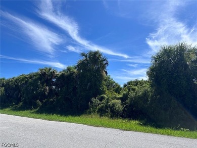 Build your Florida dream home on this ideally located vacant lot - photo 4