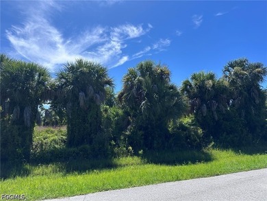 Build your Florida dream home on this ideally located vacant lot - photo 8