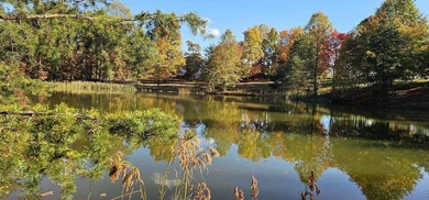 Beautiful 2.81 acre building lot in Phase 5 of Stone Creek - photo 2