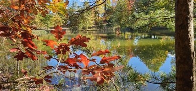 Beautiful 2.81 acre building lot in Phase 5 of Stone Creek - photo 3