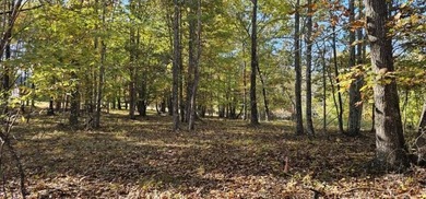 Beautiful 2.81 acre building lot in Phase 5 of Stone Creek - photo 4