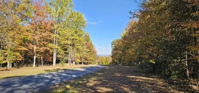 Beautiful 2.81 acre building lot in Phase 5 of Stone Creek - photo 6