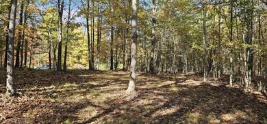 Beautiful 2.81 acre building lot in Phase 5 of Stone Creek - photo 8
