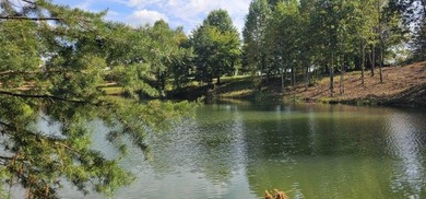 Beautiful 2.81 acre building lot in Phase 5 of Stone Creek - photo 9