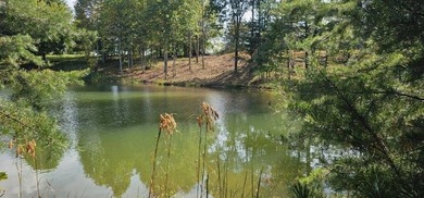 Beautiful 2.81 acre building lot in Phase 5 of Stone Creek - photo 10