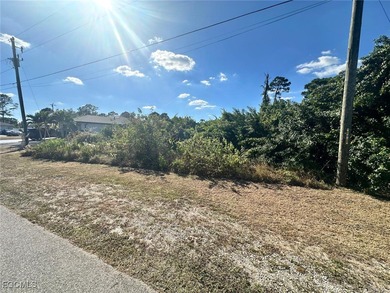 Lehigh Acres Area Lot Sale Pending in Lehigh Acres Florida