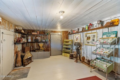 Seller Financing Option! Once in a lifetime opportunity to own - photo 15