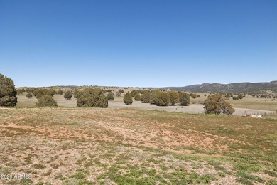 Seller Financing Option! Once in a lifetime opportunity to own - photo 36