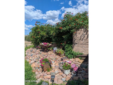 Seller Financing Option! Once in a lifetime opportunity to own - photo 40