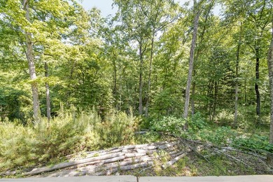 Tucked into the heart of highly desirable Green Island Hills - photo 56