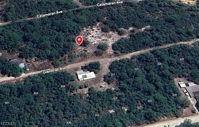 Lake Grassy Lot For Sale in Lake Placid Florida