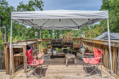 3 ACRES! 2 HOMES! As you pulling into the property, you will - photo 33