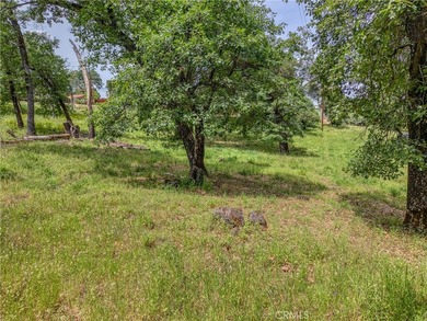 3 ACRES! 2 HOMES! As you pulling into the property, you will - photo 47