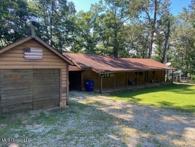 Lake Home For Sale in Walnut, Mississippi