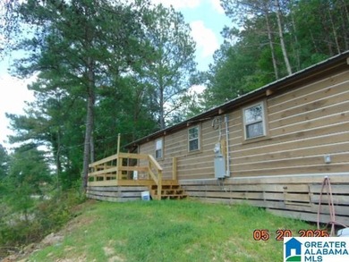 Lakeview Log Cabin Tiny Home with Stunning Views! Step into this - photo 2