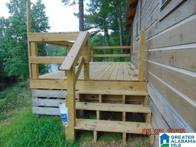 Lakeview Log Cabin Tiny Home with Stunning Views! Step into this - photo 3