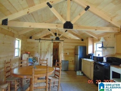 Lakeview Log Cabin Tiny Home with Stunning Views! Step into this - photo 5