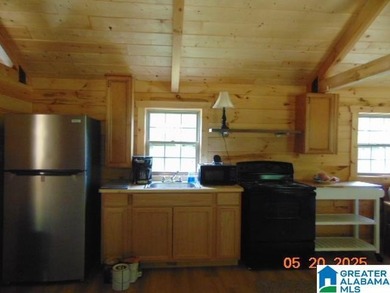 Lakeview Log Cabin Tiny Home with Stunning Views! Step into this - photo 7