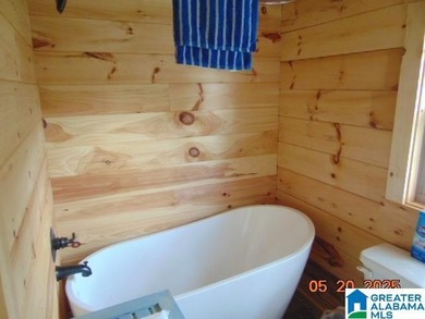 Lakeview Log Cabin Tiny Home with Stunning Views! Step into this - photo 9